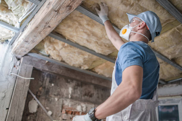 Best Eco-Friendly Insulation in Gray, LA