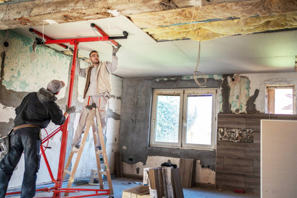 Best Commercial Insulation in Gray, LA