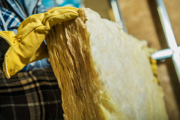 Types of Insulation We Offer in Gray, LA