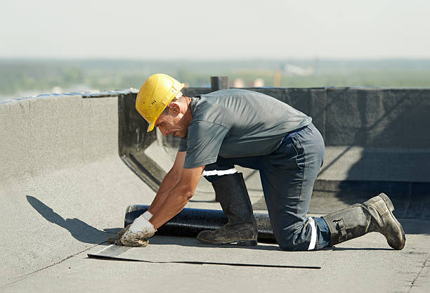 Best Cellulose Insulation in Gray, LA