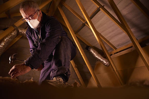 Best Residential Insulation in Gray, LA